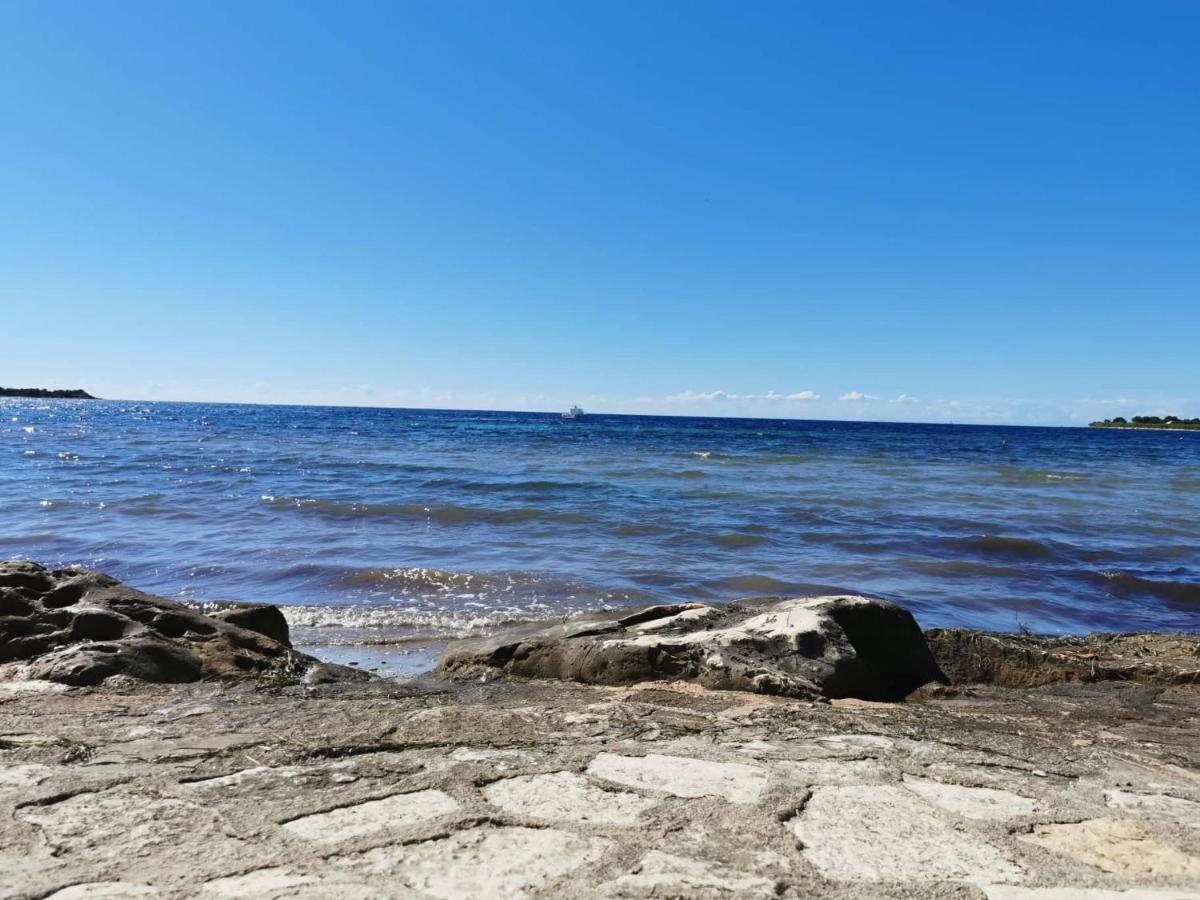 Апартаменты App Palcic K Новиград Экстерьер фото