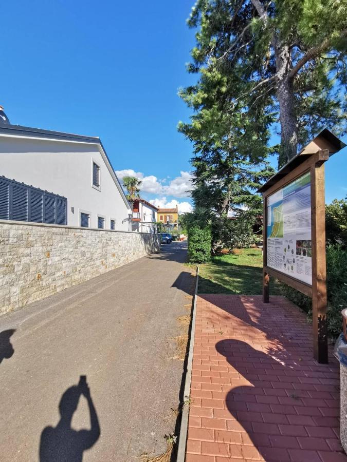 Апартаменты App Palcic K Новиград Экстерьер фото
