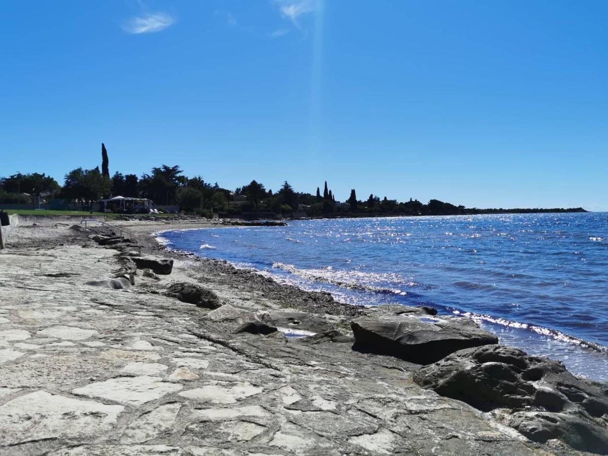 Апартаменты App Palcic K Новиград Экстерьер фото