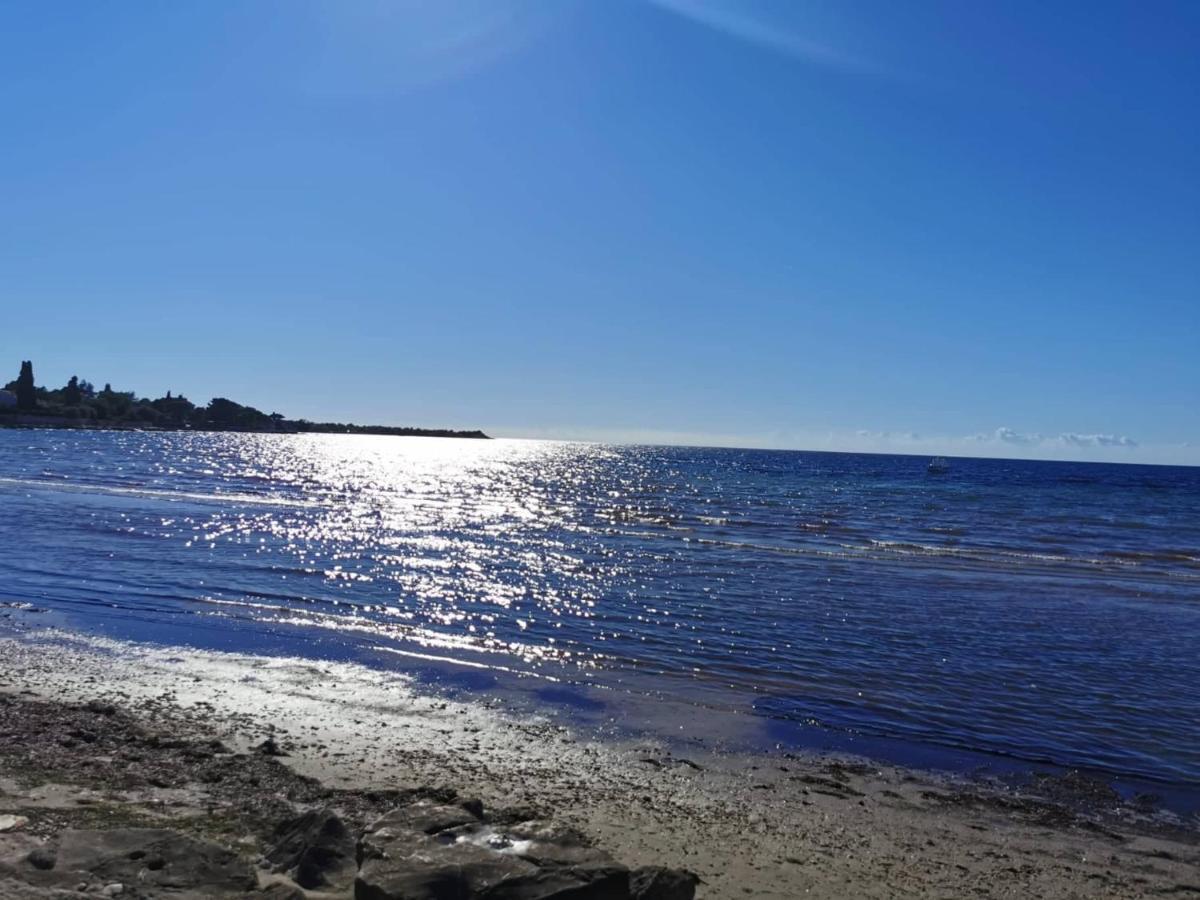 Апартаменты App Palcic K Новиград Экстерьер фото