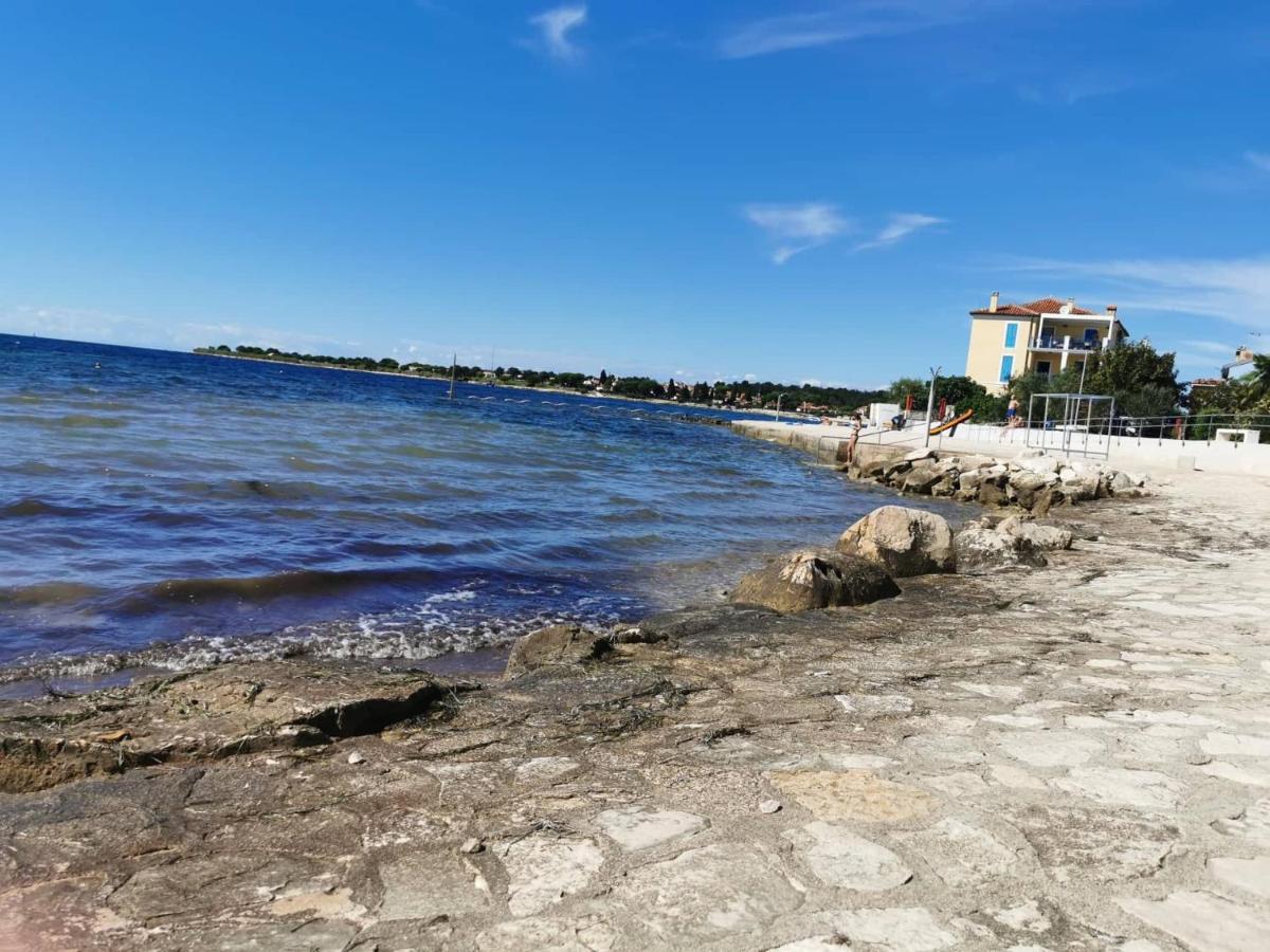 Апартаменты App Palcic K Новиград Экстерьер фото